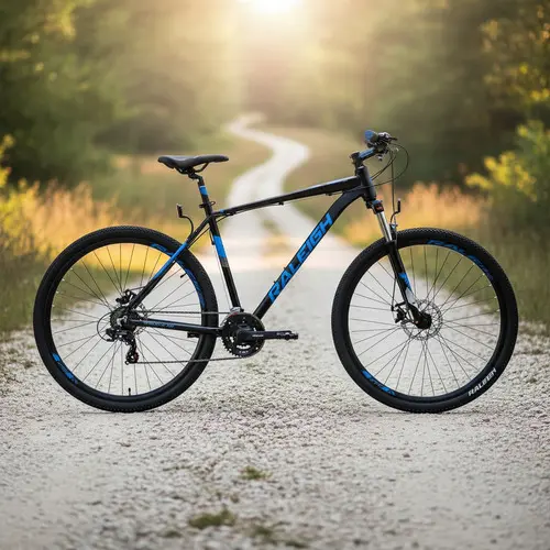 Bicicleta Mountain Bike Raleigh Mojave 2.0 Rodado 29 Color Negro/Azul Tamaño del cuadro 19